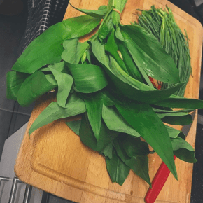 Wild Garlic/ Bärlauch /&nbsp;Ramsons