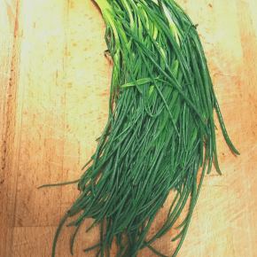Monksbeard / Agretti / Barbe dei Frati / Salsola&nbsp;Soda