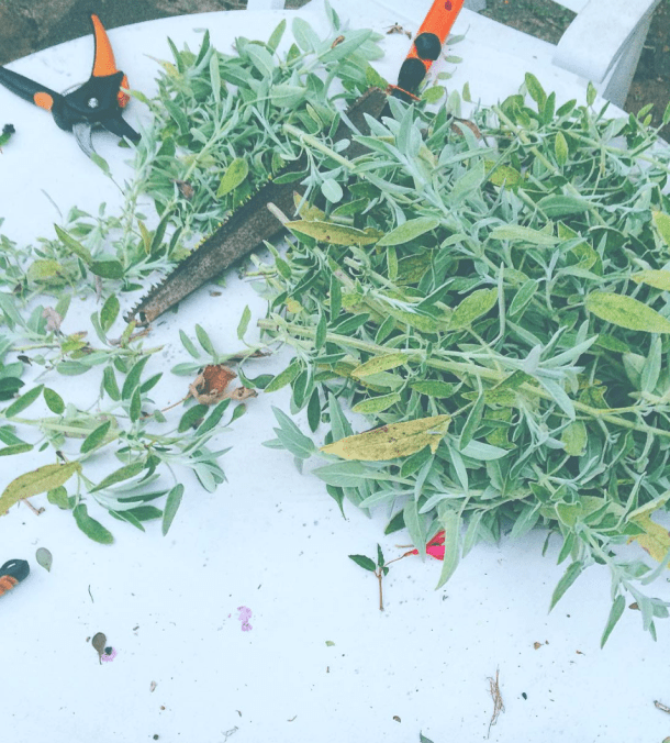 Screen Shot 2017-04-25 at 09.04.07