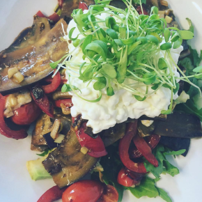 Roasted Vegetable Salad