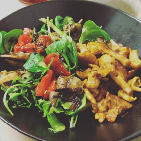 Mushrooms (most kinds)